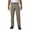 Columbia Men's Silver Ridge Cargo Pant