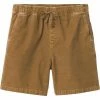 PrAna Men's Canyon Camp Short