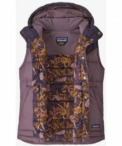 Patagonia Women's Bivy Hooded Vest