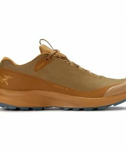 Arc'teryx Men's Aerios FL GTX Shoe