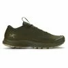 Arc'teryx Men's Aerios FL Shoe
