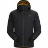 Arc'teryx Men's Atom LT Hoody