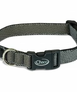 Chaco Dog Collar Camp & Hike