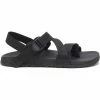 Chaco Men's Lowdown 2