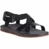 Chaco Women's Wayfarer