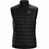 Arc'teryx Men's Cerium LT Vest