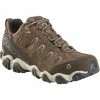 Oboz Men's Sawtooth II Low Waterproof