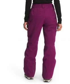The North Face Women's Freedom Insulated Pant 15 The North Face Women's Freedom Insulated Pant