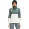 The North Face Women's Tagen 1/4 Zip Fleece