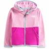 The North Face Kids Toddler Glacier Full Zip Hoodie