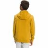 The North Face Kids Boys' Camp Fleece Pullover Hoodie
