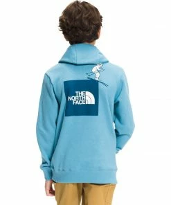 The North Face Kids Boys' Camp Fleece Pullover Hoodie