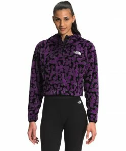 The North Face Women's Printed Osito 1/4 Zip Hoodie