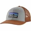 Patagonia P-6 Logo Trucker Hat