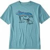 Patagonia Boys' Capilene Cool Daily T-Shirt