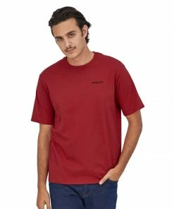 Patagonia Men's Fitz Roy Horizons Responsibili-Tee