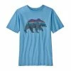 Patagonia Boys' Regenerative Organic Certification Cotton Graphic T-Shirt Kids