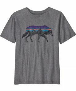Patagonia Boys' Regenerative Organic Certification Cotton Graphic T-Shirt Kids